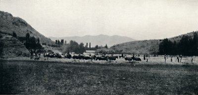 Trilhando o milho da maneira antiga, 1911 de Unbekannt