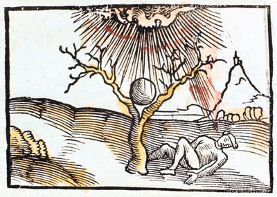 Raio ou raio, 1508. de Unbekannt