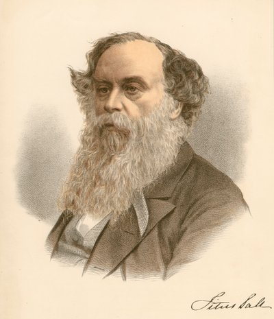 Titus Salt, lã britânica e industrial, c1880 de Unbekannt
