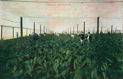 Encontro de Tabaco, 1900 de Unbekannt