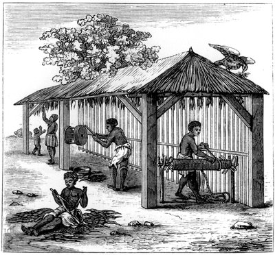 Preparação de tabaco, 1873 de Unbekannt