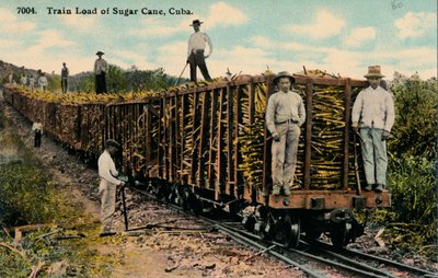 Carga de trem de cana-de-açúcar saindo do campo, Cuba, 1915 de Unbekannt