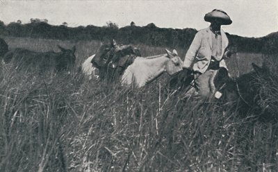 Viajar nos Pampas, 1916 de Unbekannt