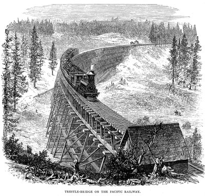 Ponte de cavalete na ferrovia Union Pacific, EUA, 1876 de Unbekannt