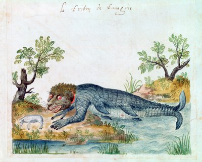 Tritão, século XVI de Unbekannt