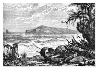 Ilha da tartaruga, vista tirada na foz dos três rios, c1890 de Unbekannt