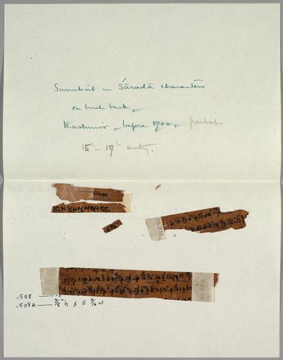 Dois fragmentos de casca com sânscrito, antes de 1700. de Unbekannt
