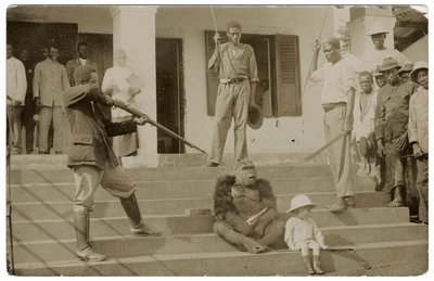 Um gorila domesticado, c.1910 (foto a p/b) de Unbekannt