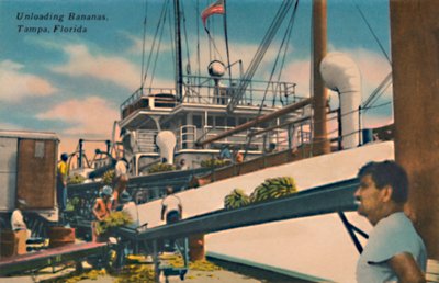 Descarregando Bananas, Tampa, Flórida, c1940s de Unbekannt