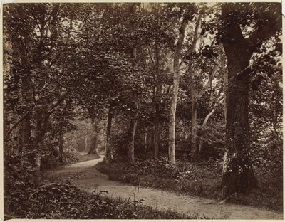 Paisagem sem título, início dos anos 1860. de Unbekannt