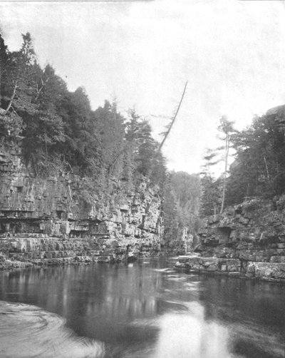 Extremidade superior do abismo disponível, Adirondacks, Estado de Nova York, EUA, c1900. de Unbekannt