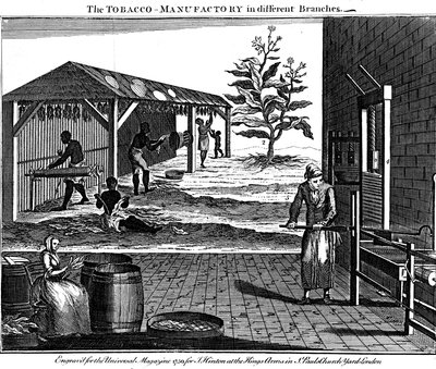 Várias etapas na produção de tabaco, Virginia, EUA, 1750 de Unbekannt