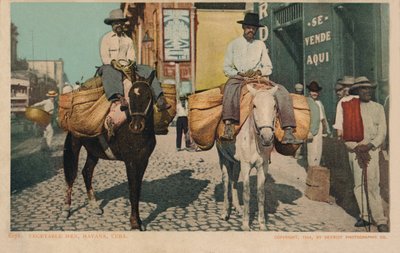Homens vegetais, Havana, Cuba, 1904 de Unbekannt