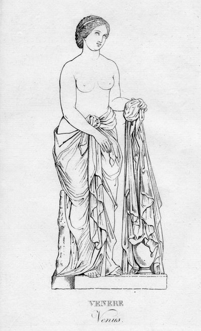 Vênus Vênus, c1850 de Unbekannt