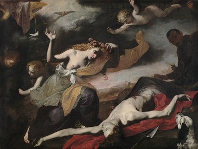 Vênus descobrindo os mortos Adonis, c. 1650 de Unbekannt