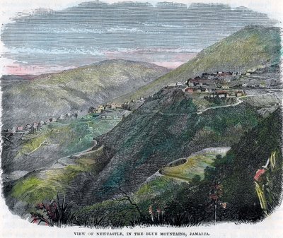 Vista de Newcastle, nas montanhas azuis, Jamaica, c1880 de Unbekannt