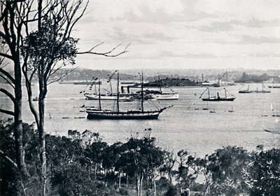 Vista do porto de Sydney a partir da costa norte, nº 1, c1900. de Unbekannt