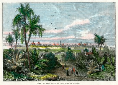 Vista de Vera Cruz, no Golfo do México, México, c1880 de Unbekannt