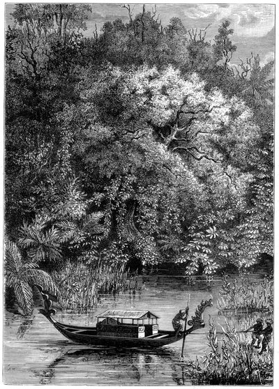 Vista sobre o rio Dodinga, Nova Guiné, 1877 de Unbekannt
