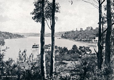 Vista no rio Lane Cove, c1900. de Unbekannt