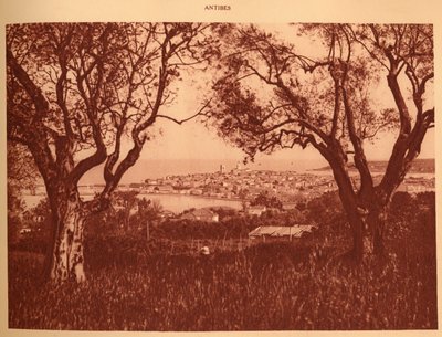 Vista através das oliveiras-árvores a Antibes, 1930. de Unbekannt