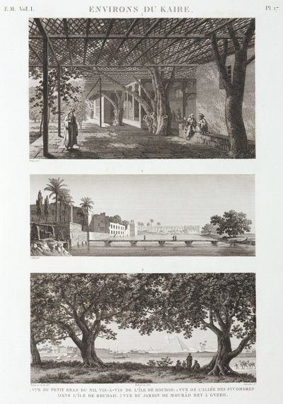 Vistas ao redor do Cairo, Egito, c 1798 de Unbekannt