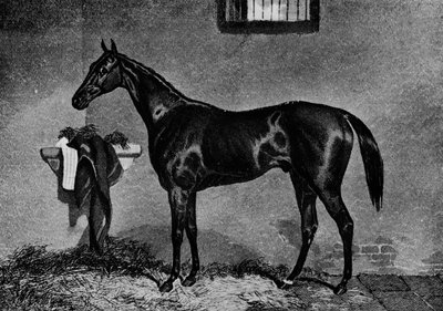 Voltigeur, 1847-1874, 1911 de Unbekannt