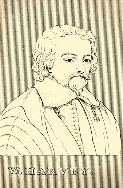 W. Harvey, 1578-1657, 1830. de Unbekannt