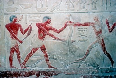 Pintura mural de 3 açougueiros cortando uma carcaça, Tumba de Idut, 5ª Dinastia, c2350 aC de Unbekannt