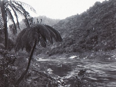 Rio Wanganui, final do século XIX-início do século XX. de Unbekannt