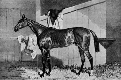 Bruxo, século XIX, 1911 de Unbekannt