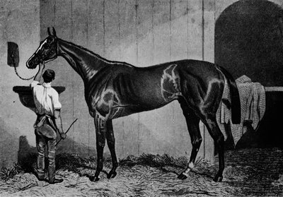 Austrália Ocidental, 1850-1870, 1911 de Unbekannt