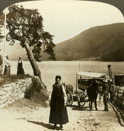 Quando o navio a vapor chama no cais de Tinoset - veja Tinsjo até as colinas, Norwway, c1905. de Unbekannt