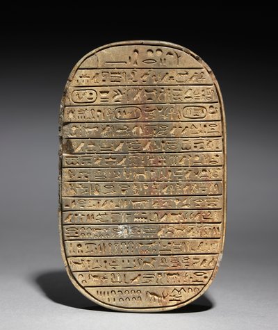 Escaravelho selvagem de Amenhotep III, c. 1391-1353 aC. de Unbekannt