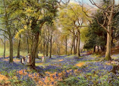 Jacintos selvagens em um Surrey Copse, 1906 de Unbekannt