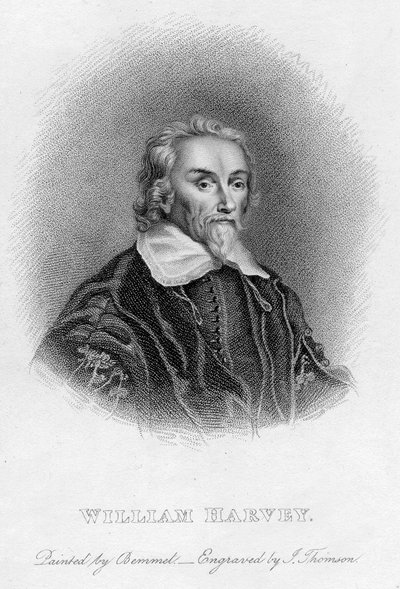 William Harvey 1578-1657 Médico inglês, século c17 de Unbekannt