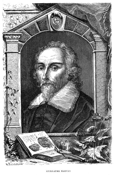 William Harvey 1578-1657 Médico inglês, século c17 de Unbekannt