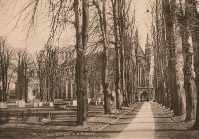 Catedral de Winchester e Avenida, Hampshire, início do século XX. de Unbekannt