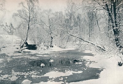 Vista de inverno do museu ao ar livre em Skansen, c1900 de Unbekannt