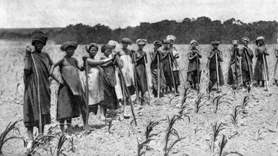 Mulheres, capinar, um, campo milho, áfrica sul, c1923 de Unbekannt