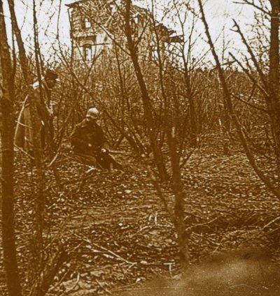 Madeira, c1914-c1918 de Unbekannt