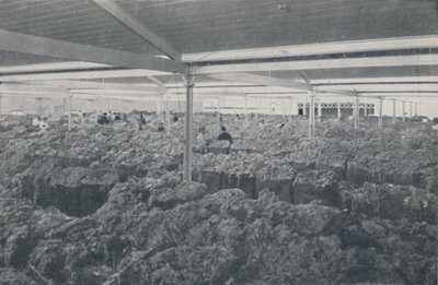 Lãs à venda em um showroom de Melbourne, 1923. de Unbekannt