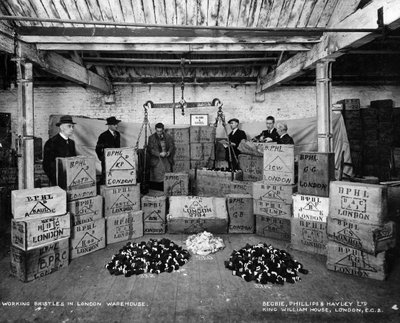 Trabalhando com cerdas em um armazém, Londres, 1938 de Unbekannt
