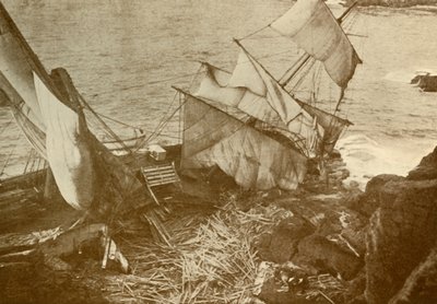 Destruído no lagarto, c1930. de Unbekannt