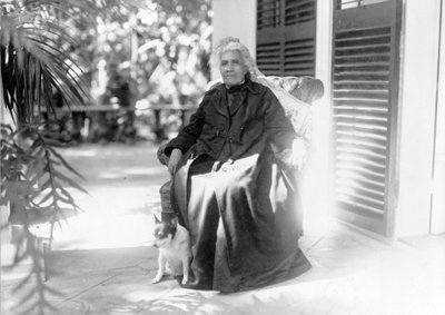 Liliuokalani, rainha do Havaí, c.1917 de Unbekannt Unbekannt