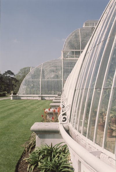 Seção da Casa da Palma, projetada por Decimus Burton, 1800-81 de Unbekannt Unbekannt