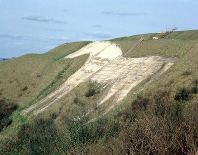 O cavalo branco de Westbury de Unbekannt Unbekannt