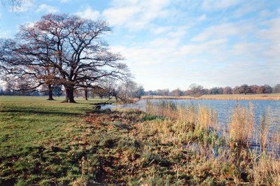 Vista, de, a, lago, Corsham, corte, wiltshire de Unbekannt Unbekannt