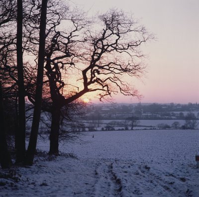 Cena de inverno na neve, Hockley, Essex de Unbekannt Unbekannt