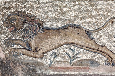 Um leão - Detalhe de um friso retratando cenas de caça ao redor do Mosaico - Mosaicos Paphos, Vila de Theseus, Século V DC - Chipre - Um leão - Detalhe de um friso retratando cenas de caça ao redor do Mosaico de William M. Timlin